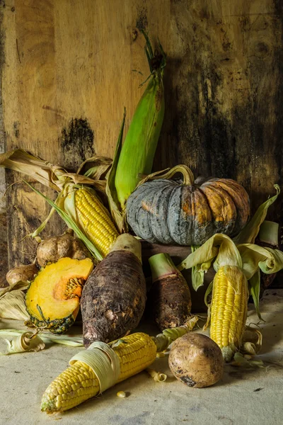 Still life with pumpkin, corn, taro, yam. — Stock Photo, Image