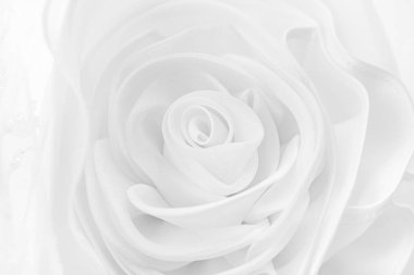 Dantelli gelinlik, beyaz gül desenli. Gelinlik kumaşı ve güzel nakışların ayrıntıları arka plan ve çizimler için kullanılır.