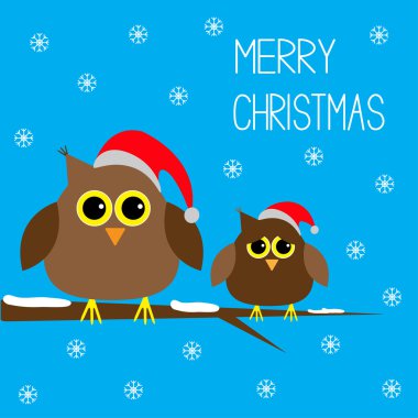 iki sevimli baykuşlar.