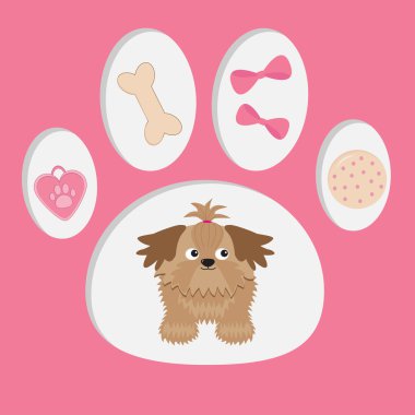 küçük tan shih tzu köpek