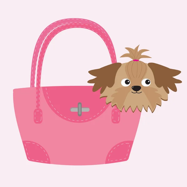 Hondje tan shih tzu — Stockvector