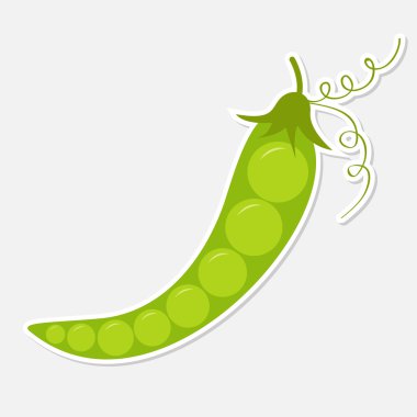 Yeşil bezelye. gri arka plan. izole.