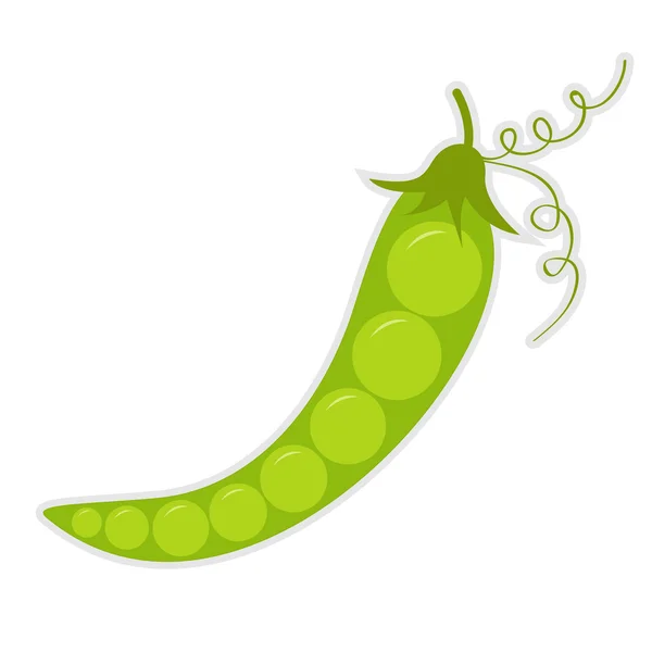 Green pea. Isolated. — Stock Vector