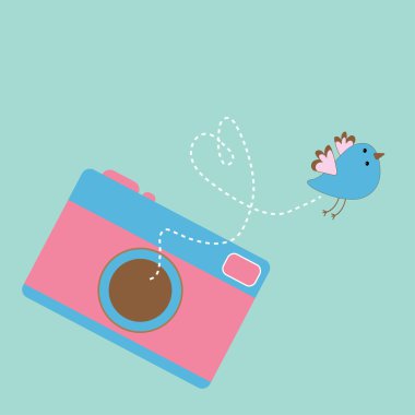 kuş uçan ile fotoğraf makinesi. aşk kartı