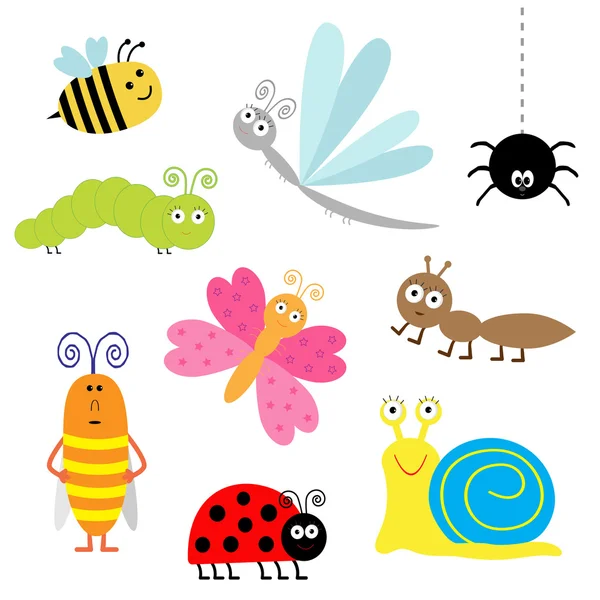 Cute cartoon insect set. — Stock Vector