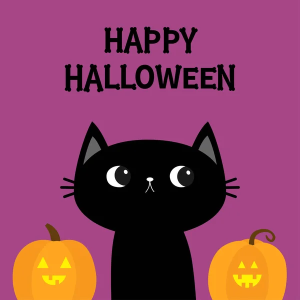 Black Cat Kitten Two Pumpkin Set Happy Halloween Bones Text — Stock Vector