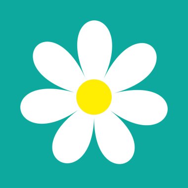 Beyaz papatya çiçeği yuvarlak ikonu. Papatya yaprağı. Şirin bitki koleksiyonu. Aşk kartı. Büyüyen konsept. Sevgililer Günün kutlu olsun. Düz dizayn. Koyu mavi arka plan. İzole edilmiş. Vektör