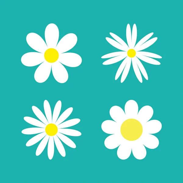Weiße Kamille Gänseblümchen Blume Rundes Symbol Set Kamillenblütenblatt Niedliche Pflanzensammlung — Stockvektor