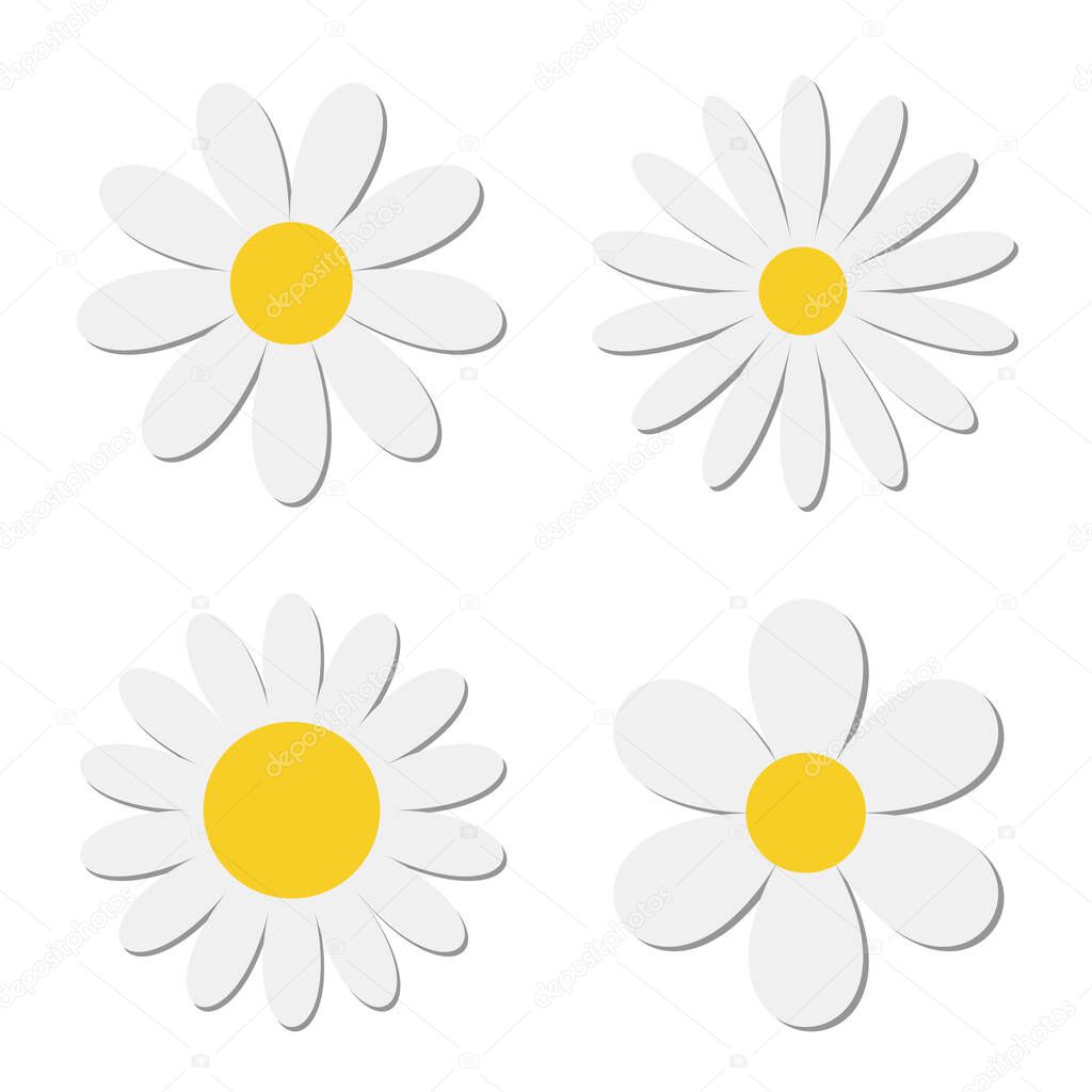White chamomile daisy flower round icon set. Camomile petal. Cute plant collection. Growing concept. Happy Valentines Day decoration. Love card. Flat design. Nature background. Isolated. Vector