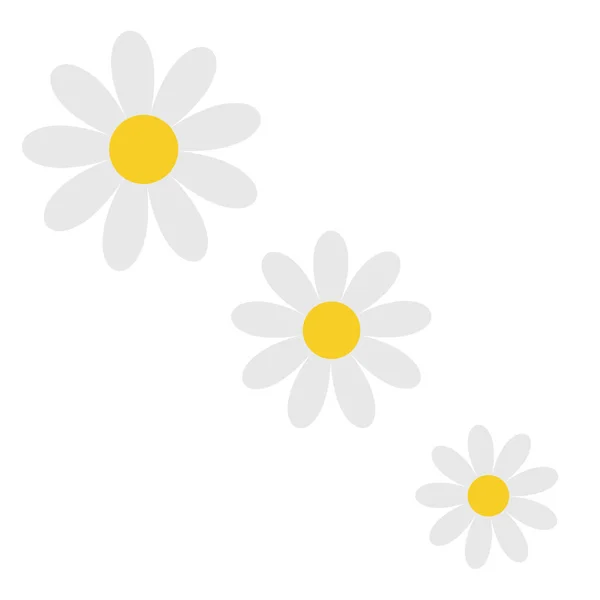 White Daisy Chamomile Set Camomile Icon Diagonal Line Cute Flower —  Vetores de Stock