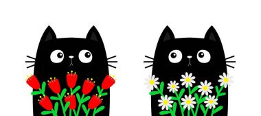 Sevgililer Günün kutlu olsun. Papatya papatyası tutan kedi. Papatya lalesi çiçeği buketi. Kedi yavrusu seti. Şirin çizgi film kawaii komik hayvan. Aşk kartı, tişört izi. Düz dizayn. Beyaz arka plan. Vektör
