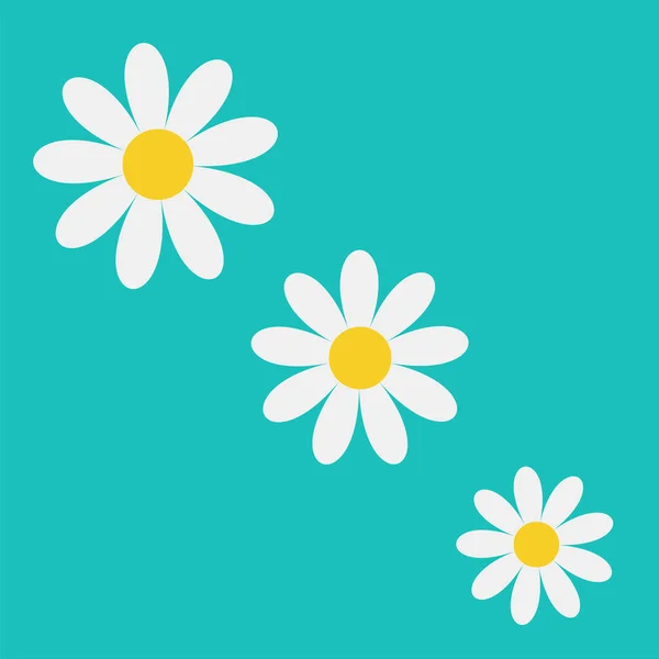 Camomile Icon White Daisy Chamomile Set Diagonal Line Cute Flower —  Vetores de Stock