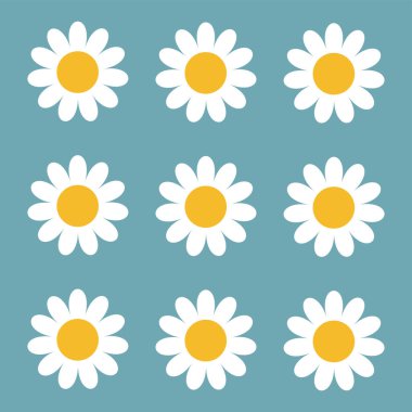 Papatya çayı büyük seti. Dokuz beyaz papatya ikonu. Şirin, yuvarlak çiçek koleksiyonu. Büyüyen konsept. Aşk kartı sembolü. Düz dizayn. İzole edilmiş. Mavi arka plan. Vektör illüstrasyonu