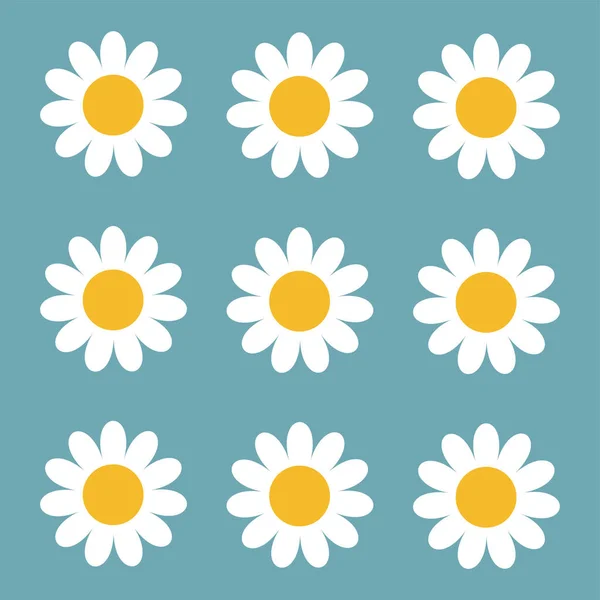 Daisy Manzanilla Gran Conjunto Nueve Icono Manzanilla Blanca Linda Colección Vectores De Stock Sin Royalties Gratis