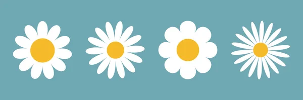 カモミールデイジーセットライン 4つの白いカモミールアイコン かわいい丸い花の植物コレクション 愛のカードのシンボル 成長する概念 フラットデザイン 隔離されてる 青の背景 ベクターイラスト — ストックベクタ