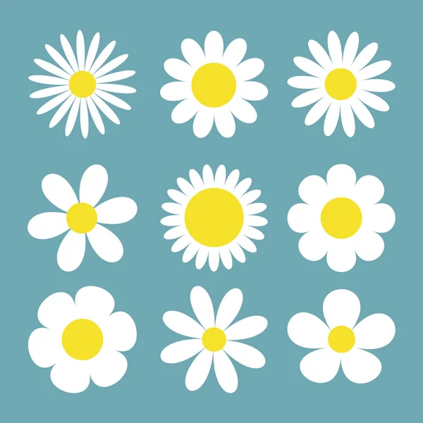 デイジー カモミール大セット 9つの白いカモミールアイコン かわいい丸い花の植物コレクション 愛のカードのシンボル 成長する概念 フラットデザイン 隔離されてる 青の背景 ベクターイラスト — ストックベクタ