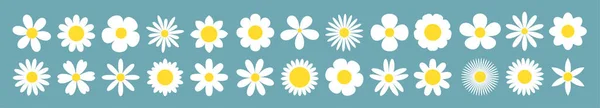 卡莫米莱超级大本营白色洋甘菊图标 越来越多的概念 可爱的圆圆的花植物集合 爱情卡片的符号 平面设计 孤立无援蓝色背景 矢量说明 — 图库矢量图片
