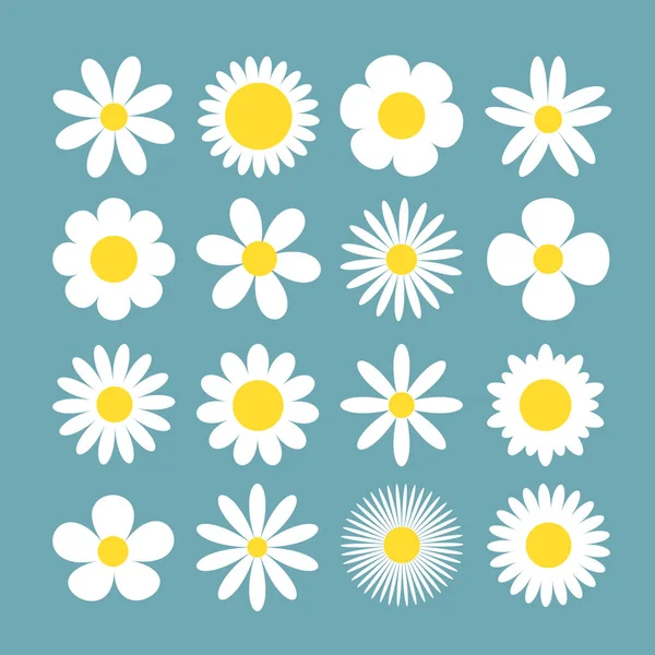 Kamille Daisy Super Großes Set Ikone Der Weißen Kamille Wachsendes — Stockvektor