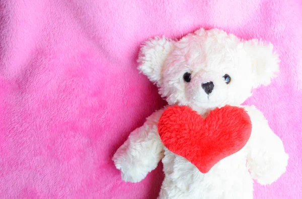 Romantique Avec Ours Peluche Coeur Rouge Sur Fond Rose — Photo