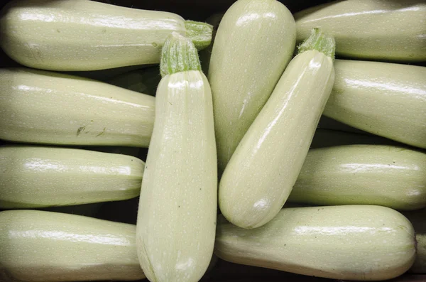 Zucchinigrün — Stockfoto