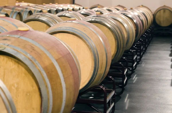 Cellar with barrels — Stock Photo, Image