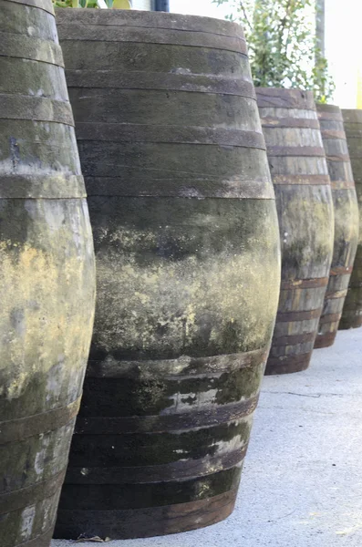 Barris de vinho em uma vertical — Fotografia de Stock