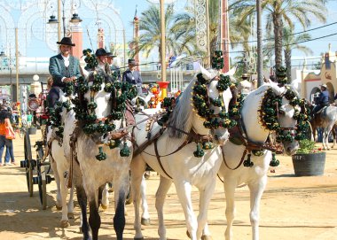 Andalusia, İspanya, Fuar at, at arabası