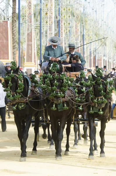 スペイン、アンダルシア馬の馬車 — ストック写真