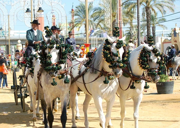 Andalucía, España, Feria del caballo, carruaje de caballos — Foto de Stock