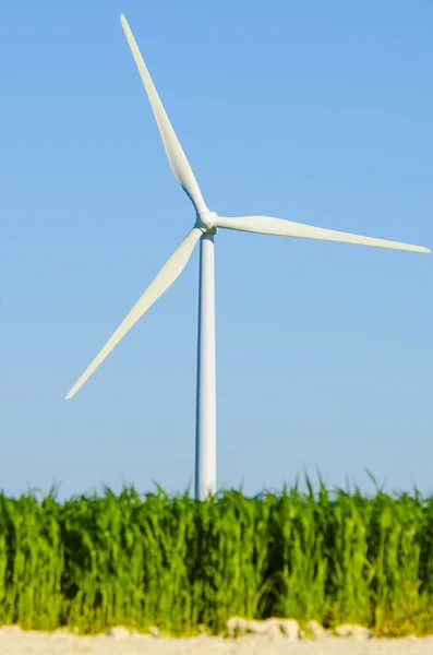 Windmills to generate wind power — Stock Photo, Image