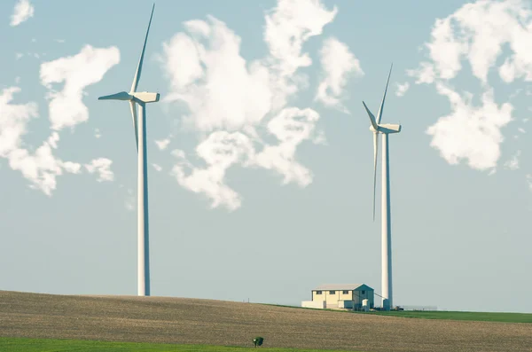 Landscape with windmills — Stock Photo, Image