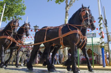 seville bölgesinde Fuarı Nisan