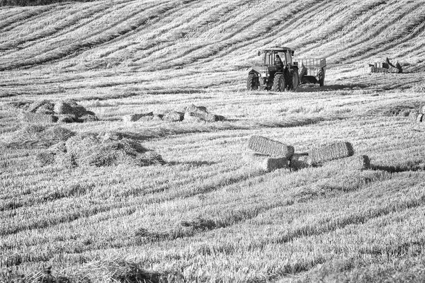 Paysage rural avec tracteur ramassant le foin — Photo