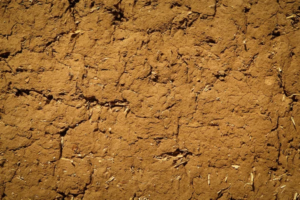 Texture dry ground — Stock Photo, Image