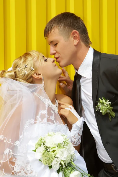 Sposa e sposo dolce bacio — Foto Stock