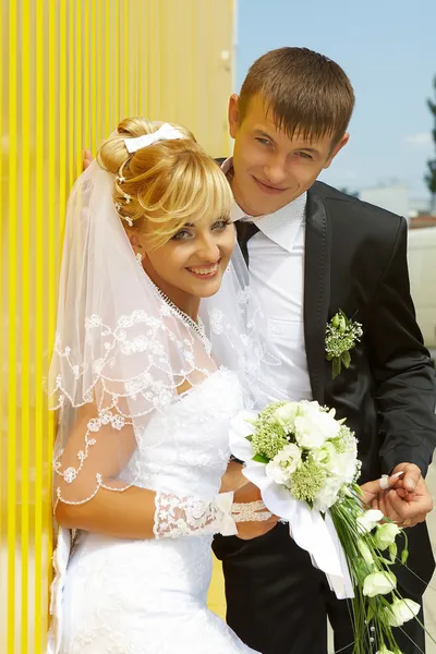 Portrait bride and groom — Stock Photo, Image