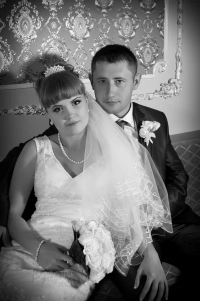 Beautiful Wedding Portraits — Stock Photo, Image