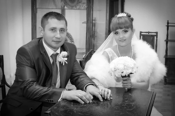 Hermosos retratos de boda — Foto de Stock