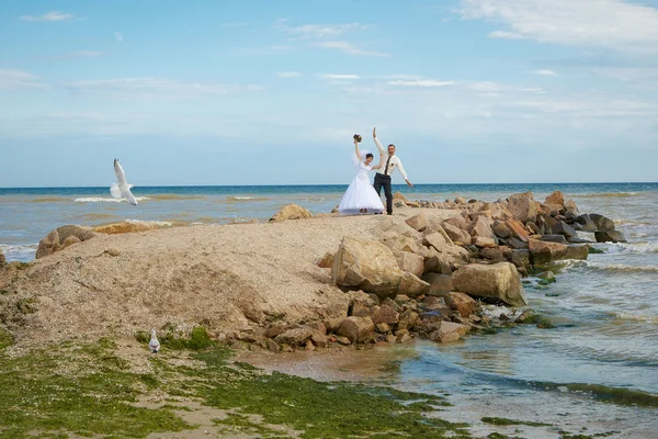 Bride and groom laugh — Stock Photo, Image