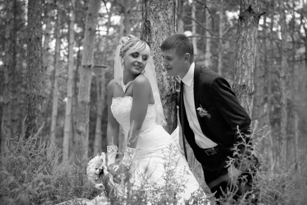 Coppia felice il giorno del matrimonio — Foto Stock