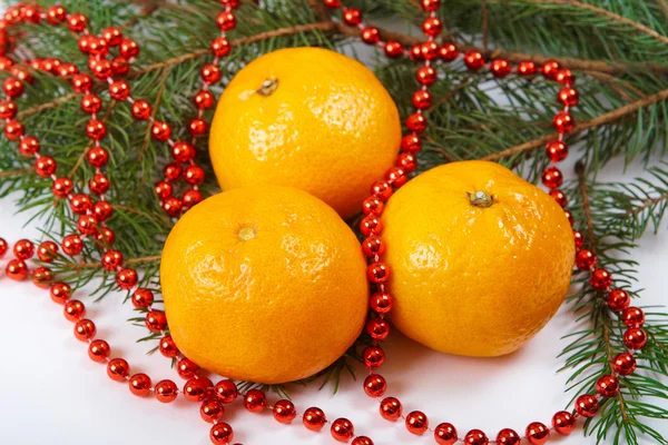 Tangerine Natal — Stok Foto