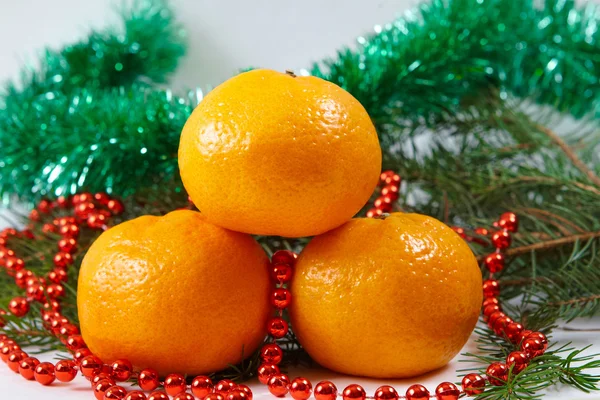 Mandarine de Noël — Photo