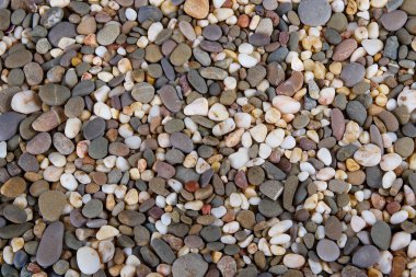 Shiny Multi Colored Pebbles on Ocean Shore clipart