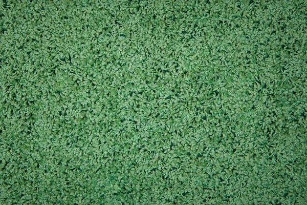 Gröna mattan textur närbild — Stockfoto