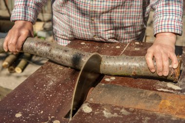 Daire testere kesim ahşap