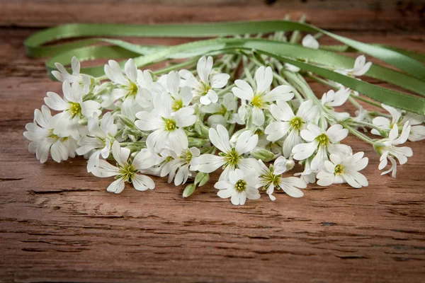 Blommor på trä bakgrund — Stockfoto