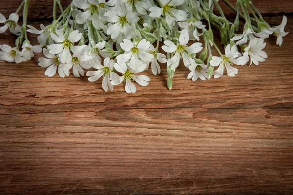 Blommor på trä bakgrund — Stockfoto