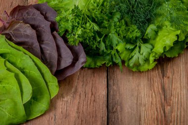 marul, maydanoz, dereotu ve ıspanak