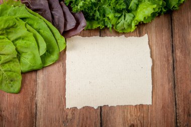 marul, maydanoz, dereotu ve ıspanak