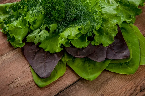 Lettuce, parsley, dill and spinach — Stock Photo, Image